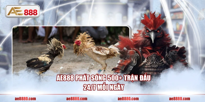AE888 phát sóng 500+ trận đấu 24/7 mỗi ngày