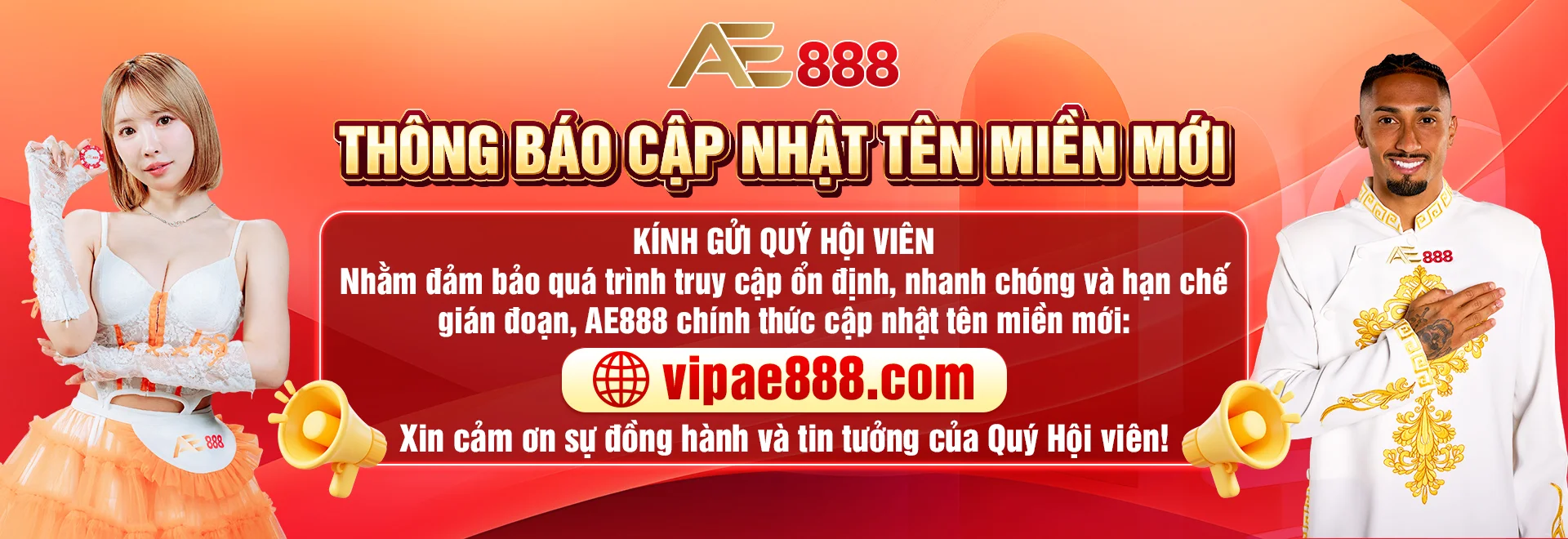 banner ae888
